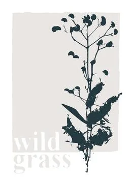 Decor printable art. Hand drawn vector illustrations of wild grasses Stock Illustration