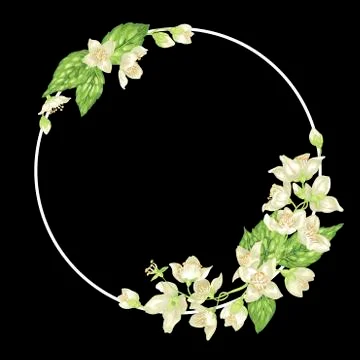 Decor ring element with branches of jasmine with flowers Stock Illustration