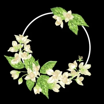 Decor ring element with branches of jasmine with flowers 스톡 일러스트