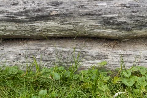 Decor of rustik logs Stock Photos