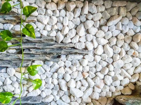 Decor stone brick wall texture, siding different sized shapes. Beautiful nature Foto stock