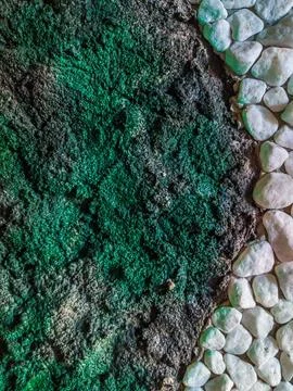 Decor stone man made wall interior design texture. Separated Yin Yang curve Foto stock