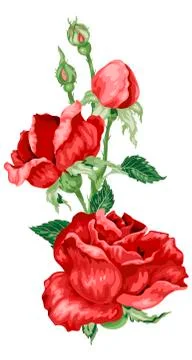 Decor Vector Element with Rose Flowers and Buds Stock Illustration