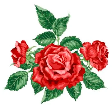 Decor Vector Element with Rose Flowers and Buds Stock Illustration