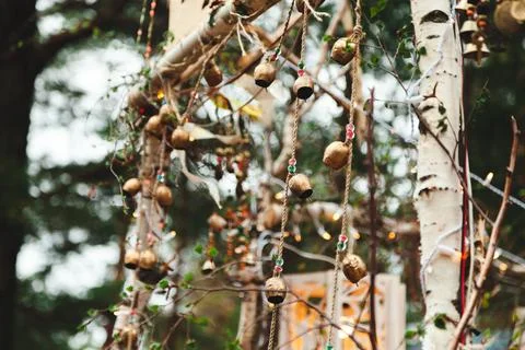 Decor for a wedding. Decorating a space in the forest Stock Photos