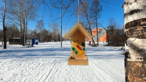 Decorated Bird Feeder Stock Footage 149026207