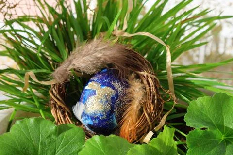 Decorated Blue and Gold Easter Egg in a Rustic Nest with Grass Stock Photos