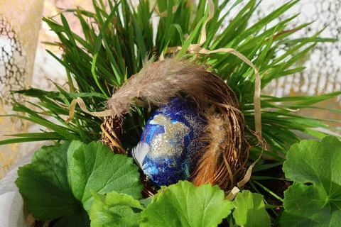 Decorated Blue and Gold Easter Egg in a Rustic Nest with Grass Stock Photos