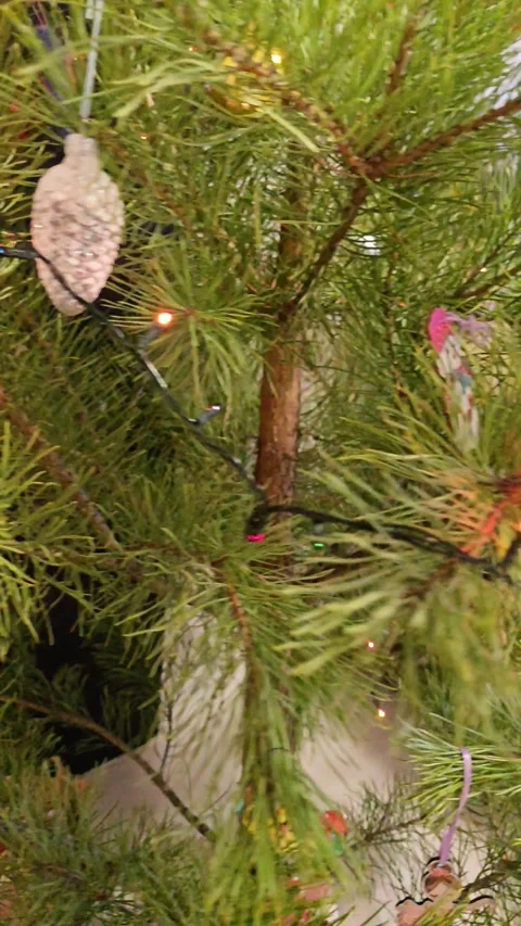 Decorated Christmas Pine Tree Close Up Needles Ornaments Garland Festive Lights 库存影片 330954692