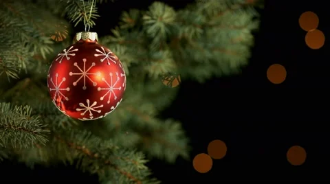 Decorated christmas tree branch Stock-Footage 56594775
