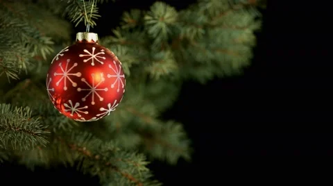 Decorated christmas tree branch Stock-Footage 56595054