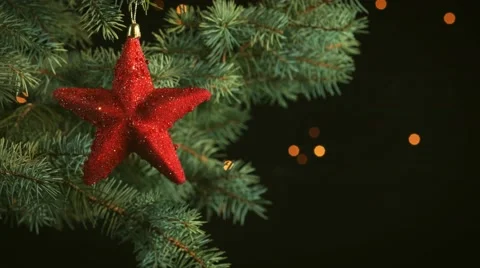 Decorated christmas tree branch 動画素材 56595105