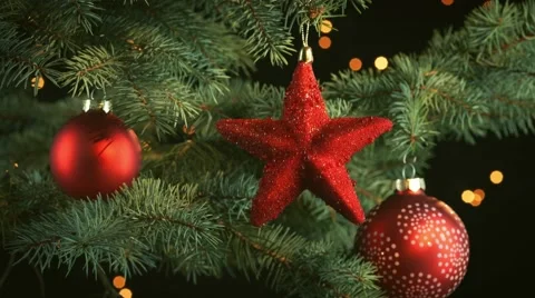 Decorated christmas tree branch Stock-Footage 56595179