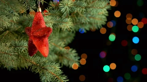 Decorated christmas tree branch Stock-Footage 56595285