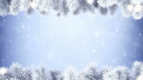 Decorated Christmas tree branches Stock Footage 165527364