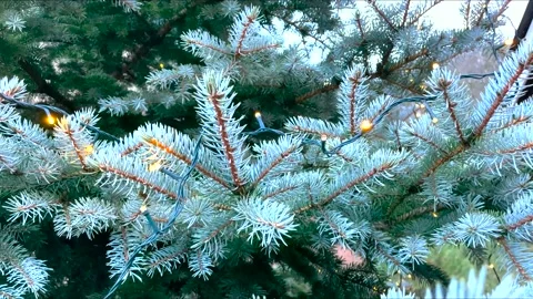 Decorated Christmas tree branches with luminous garlands during a snowfall Video stock 227777718