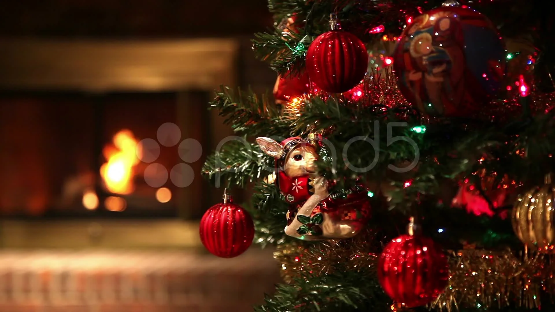 Cây thông Noel - mang đến không khí lễ hội ấm áp và những bất ngờ thú vị cho bất cứ ai khi nhìn thấy. Hãy thưởng thức hình ảnh của một cây thông Noel đầy màu sắc và trang trí tỉ mỉ.