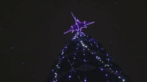 Decorated Christmas tree 库存影片 71006261