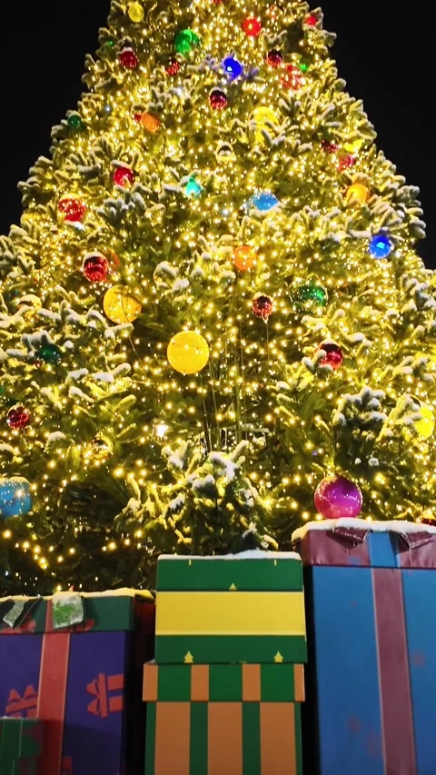 Decorated Christmas Tree With Gift Boxes At Night Tilt Up Shot Stock Footage 331012606