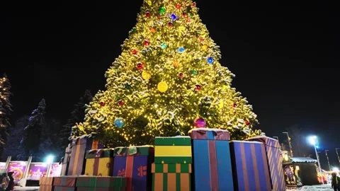 Decorated Christmas Tree With Gift Boxes At Night Tilt Up Shot Stock Footage 335135346