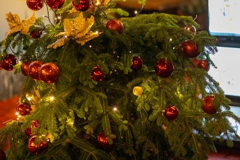 A decorated Christmas tree glowing under warm yellow fairy lights Stock Photos