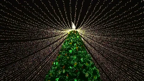 Decorated Christmas tree. Light bulbs of street garlands with the bokeh effect. Stock Footage 257889207