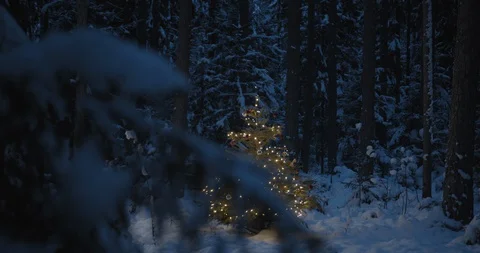 Decorated Christmas tree with lights outside in dark snowy forest in winter Stock Footage
