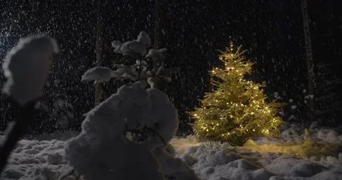 Decorated Christmas tree with lights outside in dark snowy forest in winter Stock Footage 127913609