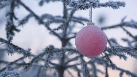 Decorated christmas tree outside Stock Footage 84777829