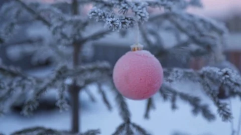 Decorated christmas tree outside Видео 84777905