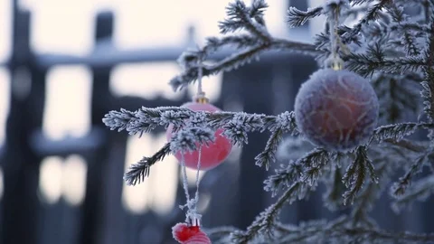 Decorated christmas tree outside Stock Footage 84777982