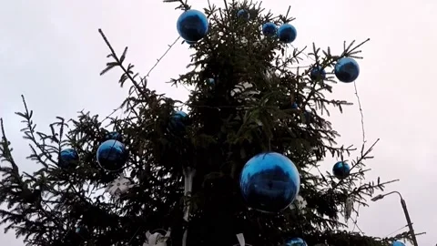Decorated Christmas Tree Outside Stock Footage 167094580