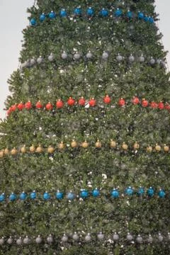 Decorated Christmas Tree Foto stock