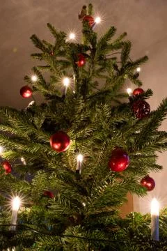 Decorated christmas tree Stock Photos