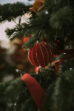 Decorated Christmas Tree  Stock Photos