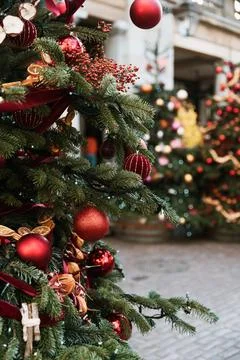 Decorated Christmas Tree  Stock Photos