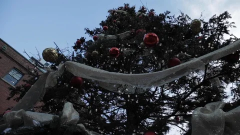 Decorated Christmas Tree Placed Outside Stock Footage 112951580