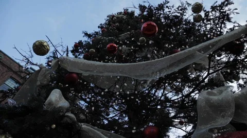 Decorated Christmas Tree Placed Outside Stock Footage 112951885