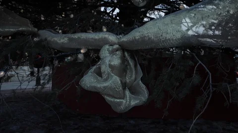 Decorated Christmas Tree Placed Outside Stock Footage 112951996