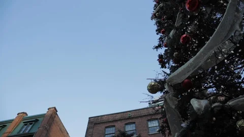 Decorated Christmas Tree Placed Outside Stock Footage 112952575