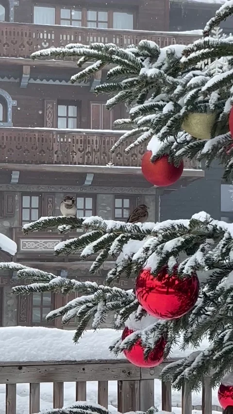 Decorated Christmas tree in a ski resort Stock Footage 337240293