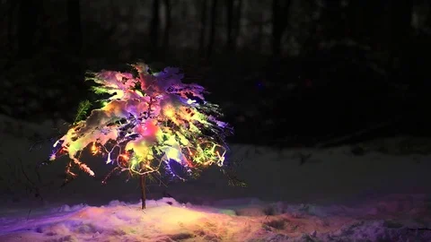 The decorated Christmas tree in the winter forest Stock Footage 82259416