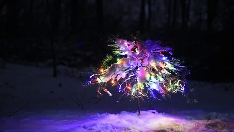 The decorated Christmas tree in the winter forest Video stock 82269933