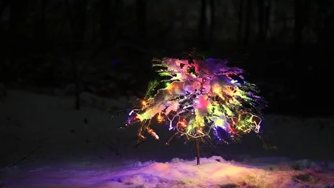 The decorated Christmas tree in the winter forest Stock Footage 82307371