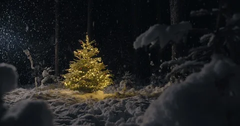 Decorated Christmas tree in winter wonderland forest at night Stock Footage