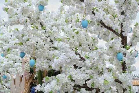 Decorated Easter eggs on the branches of a blossoming tree Stock Photos