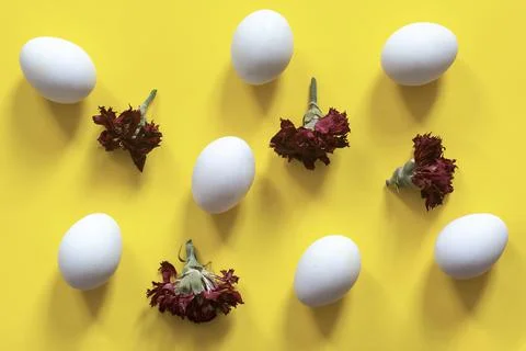 Decorated Easter eggs with dried flowers Stock Photos