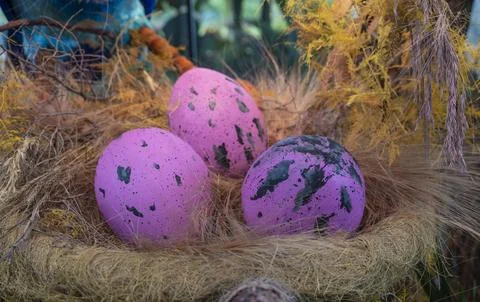 Decorated easter eggs in pink colors view from nest Foto stock