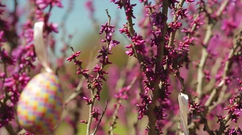 Decorated Easter Eggs in Slow Motion Stock Footage 50613831