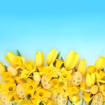 Decorated Easter Eggs Spring Flower Festive Decoration Stock Photos